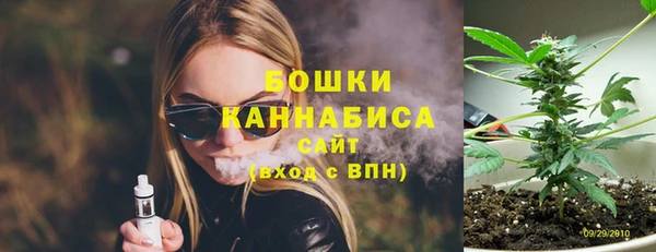 PSILOCYBIN Аркадак