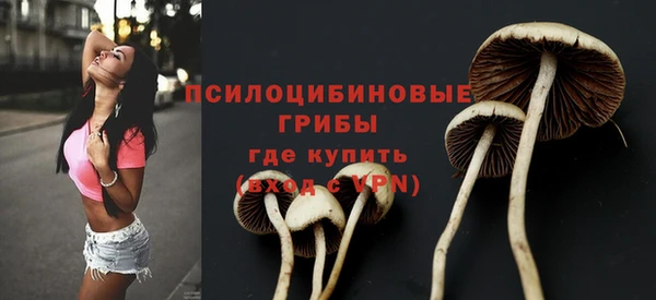 PSILOCYBIN Аркадак