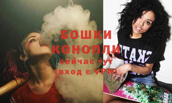 PSILOCYBIN Аркадак