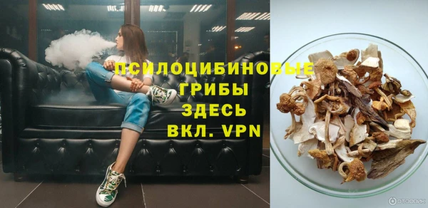 Альфа ПВП Арсеньев