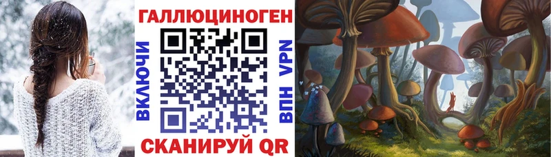 гидра маркетплейс  Баксан  Псилоцибиновые грибы Psilocybe  купить закладку 